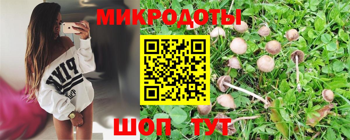 Псилоцибиновые грибы мицелий  Вход с VPN  Кохма 